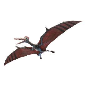 3D model Pterodactyl